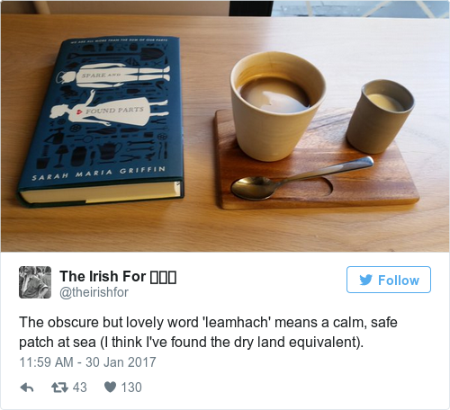 Tweet by @The Irish For 🚀👸🤖