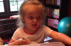 19 Vines that will make you laugh every single time