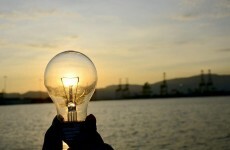 These are the reasons why every business should think about sustainability