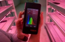 Handy or just creepy - how do algorithms influence our buying habits?