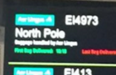 14 slightly magical things spotted at Dublin Airport arrivals this Christmas