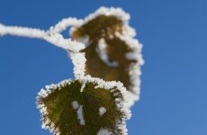 Brrrr: It's cold out there today