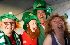 What does the average family in Ireland look like?