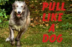 What are the Irish catchphrases for the next generation?