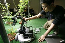 6 facts about AI that will actually blow your mind
