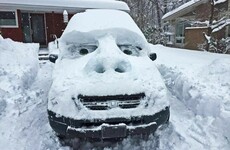 Here's what's going viral right now: Monday