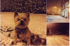It snowed for all of 15 minutes in Ireland today and '#sneachta' started trending on Twitter