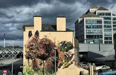 This amazing sculpture made entirely out of rubbish has gone up on George's Quay in Dublin