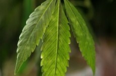 Man arrested after drugs worth €400k seized in Ennis