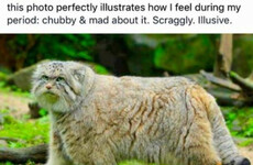 16 jokes about periods that will make every woman go 'yep'