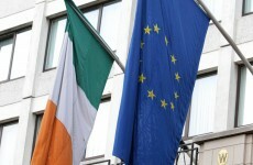 Almost half of voters support EU fiscal treaty referendum – poll