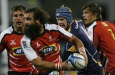 Glasgow Warriors make Pro 12 title statement after Springbok Josh Strauss signs up