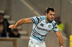 Former Leinster full-back Morris showing his claws at Leicester Tigers
