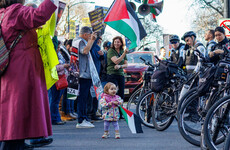 Democrats breathe a sigh of relief as smaller turnout than expected at Gaza protest