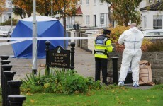 Gardaí arrest second man in Donaghmede stabbing investigation