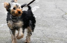 Met Eireann warns strong winds to hit later today