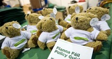 Politically Engaged Teddy Pic of the Day