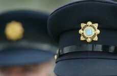 "The punishment must fit the crime" - Garda anger at remission for killer