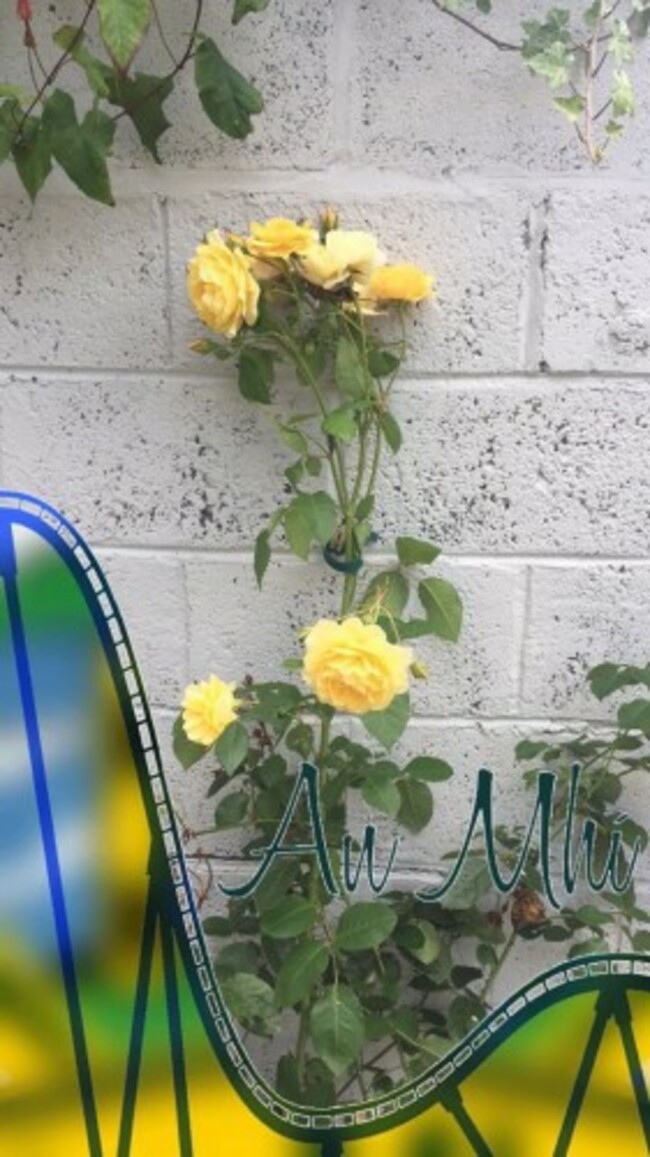 An Mh&iacute;