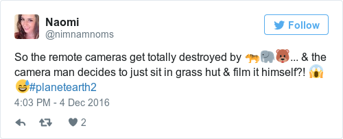 Tweet by @Naomi