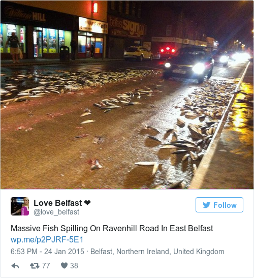 Tweet by @Love Belfast ❤️