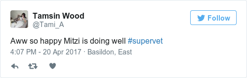 Tweet by @Tamsin Wood