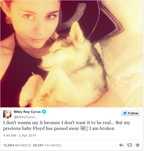 Tweet by @Miley Ray Cyrus