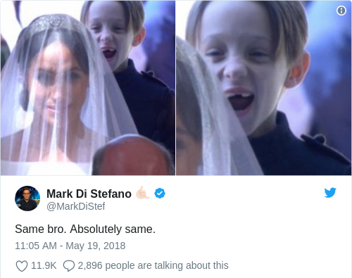 Tweet by @Mark Di Stefano 🤙🏻