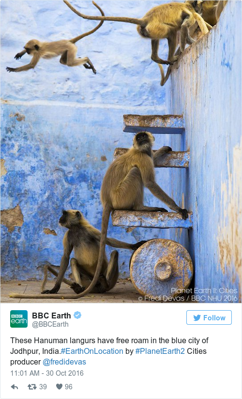 Tweet by @BBC Earth