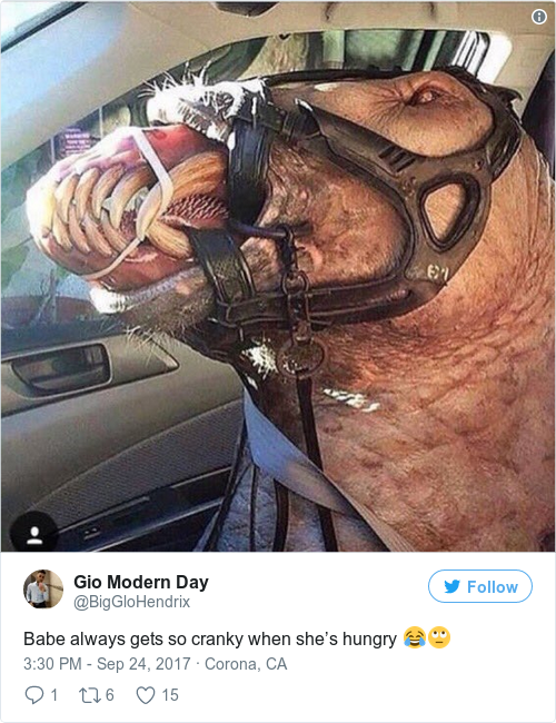 Tweet by @Gio Modern Day