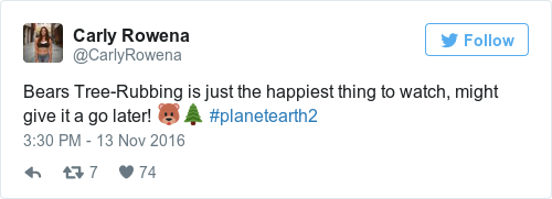 Tweet by @Carly Rowena