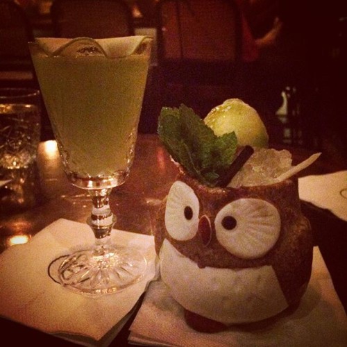 Presentation is everything, and judging by this #owl mug, #cocktails make you wise! Right, @lilith_malone ?! Beautifully composed #concoctions at the #ImperialBar last night. Thank you Rebecka Norman! #drinks with new a new #friend. #TheGoodLife by the #ocean in #TelAviv. #adventure #travel #BrownBeachHouse