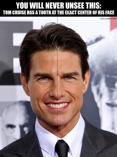 Tom Cruise can't unsee! Saw this and felt compelled to share - source eatliver