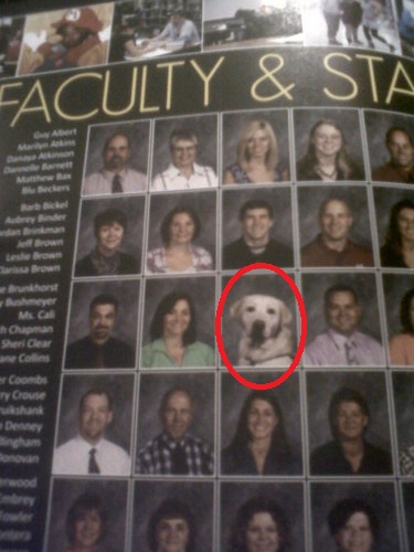 Faculty& Staff? close enough
