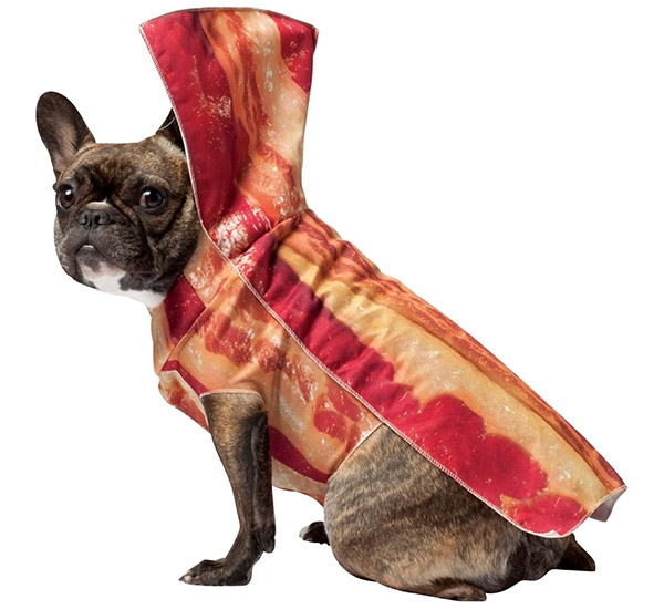 Hosted by imgur.com God Of Bacon In Dog Form.