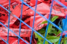 Cuts to 'red tape' could save businesses up to €5m a year