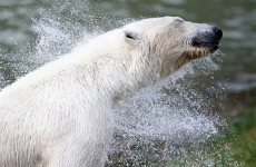 Today's top stories in 6 seconds