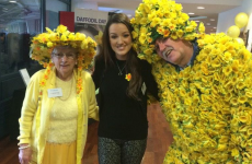 Someone is diagnosed with cancer every 15 minutes in Ireland