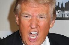 The government has 'got to listen' to Donald Trump's call to block Aer Lingus sale