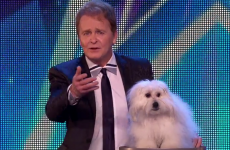 The owner of the 'talking' dog on Britain's Got Talent is facing questions from animal charities