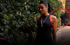 Is this man really having a wee in the background of last night's Xposé?