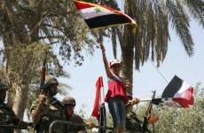 At least 22 dead in Syria as troops open fire on protestors