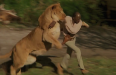 70 people were injured while filming this movie with 100 untamed lions