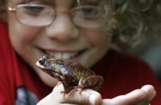 Over 1,400 events planned nationwide for National Heritage Week