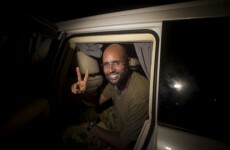 Gaddafi's son reappears in Tripoli a day after his 'capture'