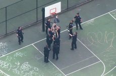A rake of police had to rescue a man who got stuck in a basketball net