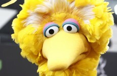 This real-life story about Big Bird will make you cry