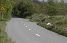 Here's what we know so far about the baby girl found in Rathcoole last week