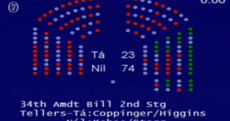 74 TDs have just voted down another abortion bill