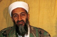 9/11 conspiracy theories were on Osama Bin Laden's reading list